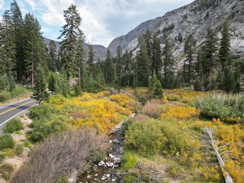 A scenic view of a winding road beside a stream, surrounded by vibrant autumn foliage and towering pine trees.