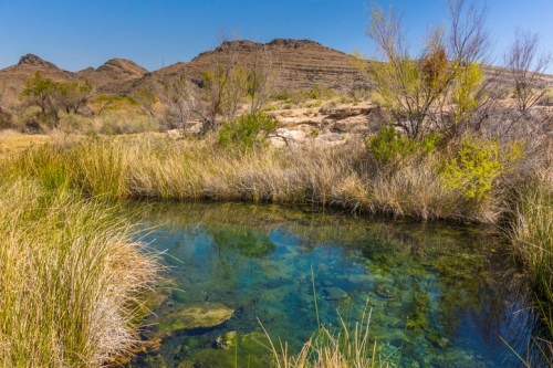 A serene landscape featuring a clear pond surrounded by tall grasses and distant hills under a blue sky.