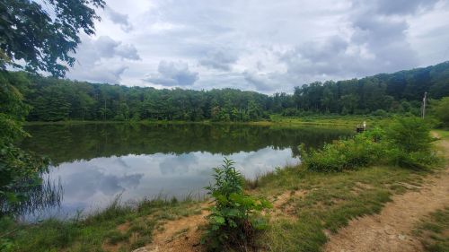 A serene lake surrounded by lush greenery and trees under a cloudy sky, with a dirt path along the shore.