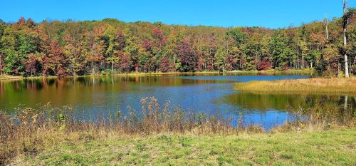 A serene lake surrounded by colorful autumn foliage and clear blue skies.