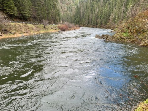 A serene river flows through a lush, green forested landscape, with rocky banks and gentle ripples on the water's surface.