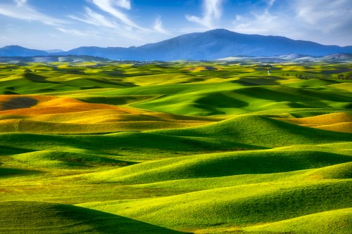 Vibrant rolling hills of green and gold under a blue sky with wispy clouds, set against distant mountains.