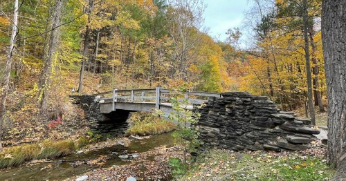 A stone bridge spans a small creek, surrounded by vibrant autumn foliage in a serene forest setting.