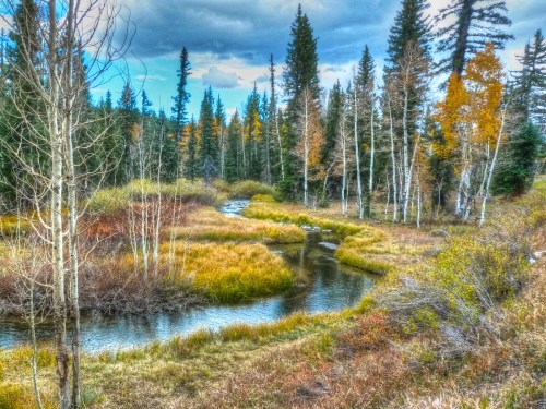 A serene river winding through a forest with autumn foliage and tall trees under a cloudy sky.