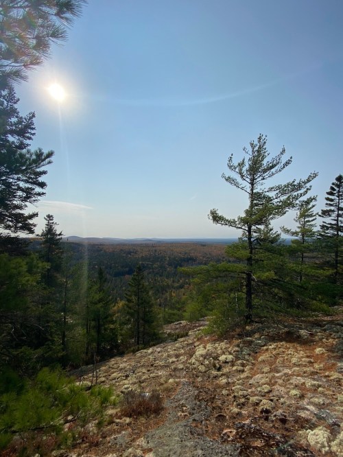 A scenic view of a forested landscape under a clear sky, with sunlight shining over distant hills and trees.