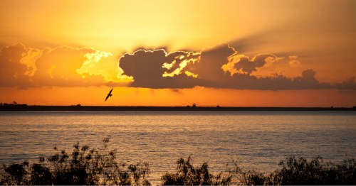 A sunrise over the Gulf of Mexico seen from Venice, Louisiana.