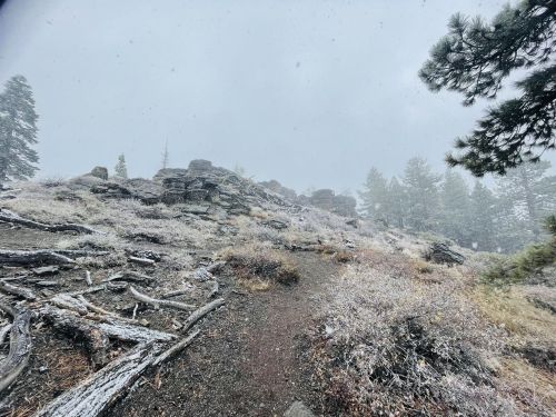 A misty, snowy landscape with rocky terrain and sparse trees, creating a serene, wintry atmosphere.