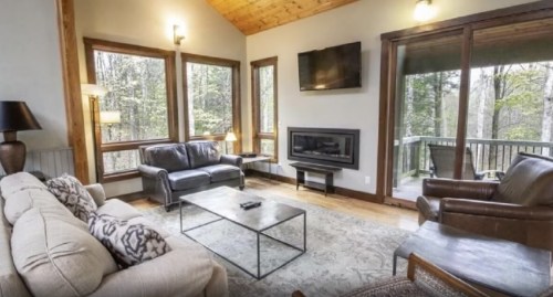 Cozy living room with large windows, a fireplace, and modern furniture, overlooking a forested area.