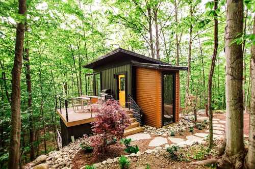 A modern cabin nestled in a lush green forest, featuring large windows and a wooden deck surrounded by trees.