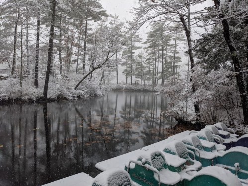 A snowy landscape with a calm pond surrounded by trees, featuring colorful paddle boats covered in snow.