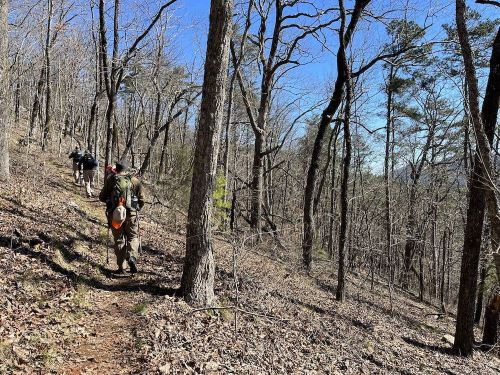 Two hikers ascend a wooded trail, surrounded by bare trees and a clear blue sky.
