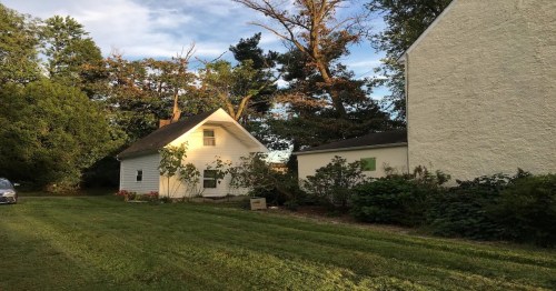 A small white house surrounded by trees and greenery, with a clear sky in the background.