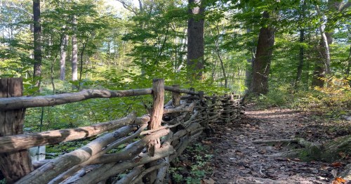 A winding dirt path bordered by a rustic wooden fence, surrounded by lush green trees in a serene forest setting.