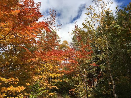 A vibrant autumn scene with trees displaying red, orange, and yellow leaves under a partly cloudy sky.