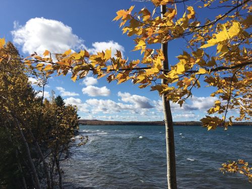 A serene lake scene framed by yellow autumn leaves under a blue sky with fluffy clouds.