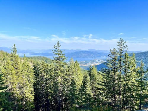 A scenic view of a lake surrounded by mountains, framed by lush green trees under a clear blue sky.