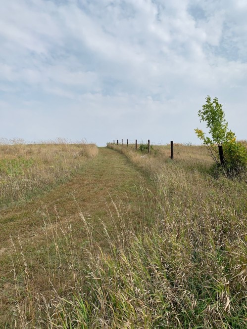 A grassy path leads through a field, bordered by wooden posts under a cloudy sky.