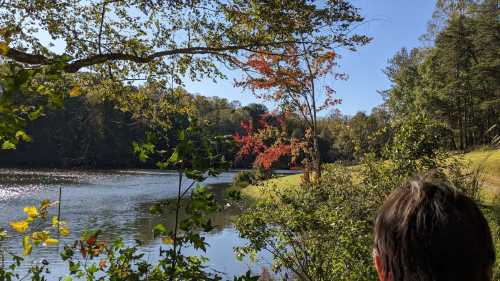 A serene lake scene with colorful autumn trees and a person gazing at the water, surrounded by greenery.