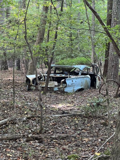 An old, rusted car partially hidden in a forest, surrounded by trees and underbrush.