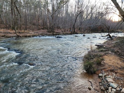 A serene river flows through a wooded area, with bare trees lining the banks and a soft sunset glow in the background.