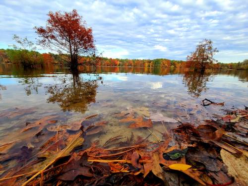 A serene lake scene with autumn leaves in the foreground and colorful trees reflecting on the water's surface.