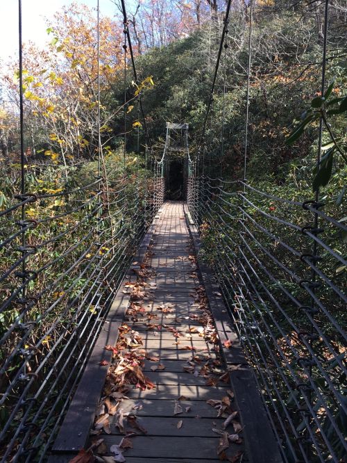A narrow suspension bridge surrounded by trees and fallen leaves, leading into a wooded area.