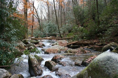 A serene stream flows through a forest, surrounded by rocks and autumn foliage, with a wooden bridge in the background.