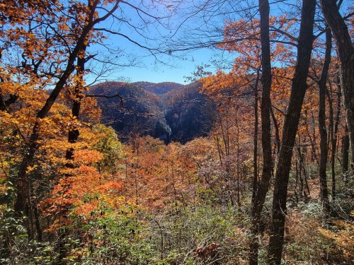 A vibrant autumn landscape with colorful trees and mountains under a clear blue sky.