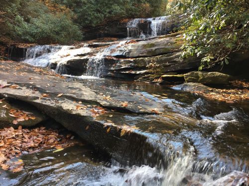 A serene waterfall cascades over rocky ledges, surrounded by lush greenery and scattered autumn leaves.