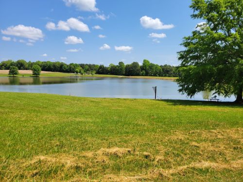 A serene lake surrounded by green grass and trees under a clear blue sky with fluffy white clouds.