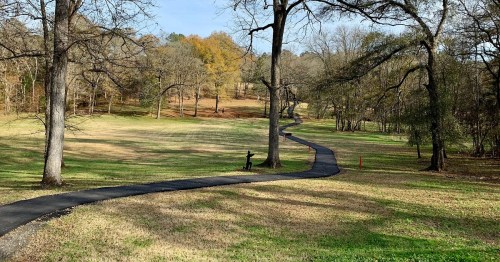 A winding path through a grassy park with trees and a person standing near the edge.
