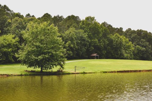 A serene lake scene with a grassy shore, a lone tree, and a gazebo surrounded by lush green trees.