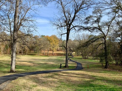A winding path through a grassy park with bare trees and a few colorful autumn leaves in the background.