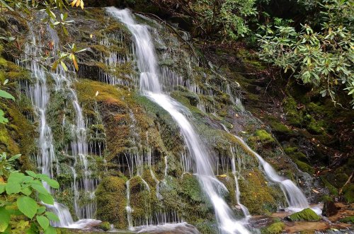 A serene waterfall cascading over moss-covered rocks, surrounded by lush greenery.