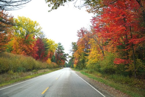 A scenic road lined with vibrant autumn trees in shades of red, orange, and yellow under a cloudy sky.