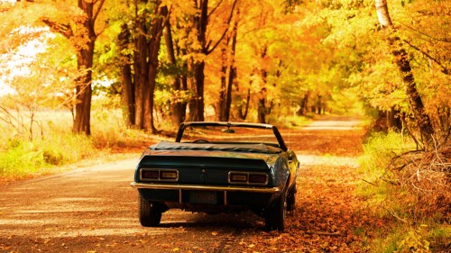 A vintage convertible parked on a tree-lined road covered in autumn leaves, surrounded by vibrant fall colors.