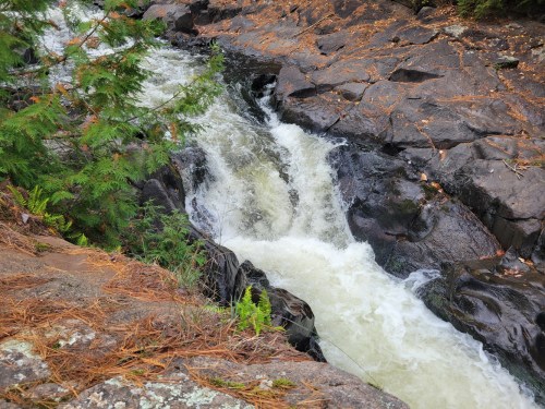 A rushing river flows over dark rocks, surrounded by greenery and pine needles.