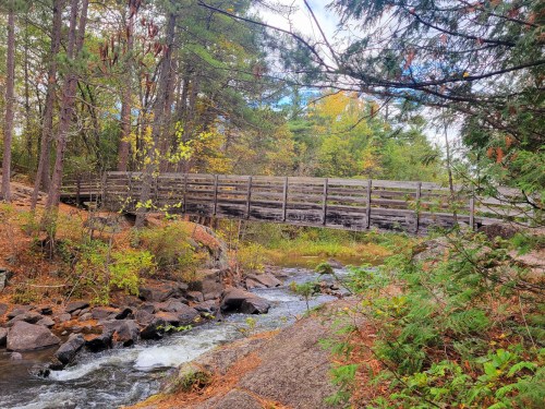 A wooden bridge spans a stream surrounded by trees and autumn foliage in a serene natural setting.