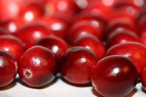 Close-up of shiny red cranberries arranged closely on a light surface.