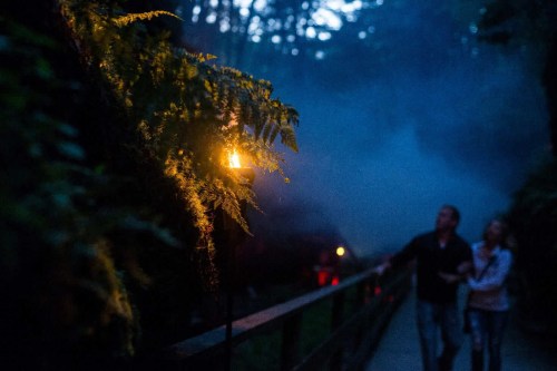 A misty path lined with ferns and torches, with two people walking together in the background.