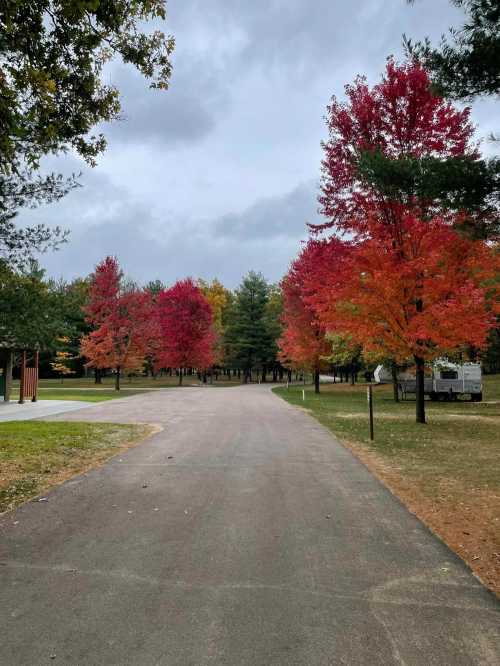 A winding path through a park lined with vibrant red and orange trees under a cloudy sky.