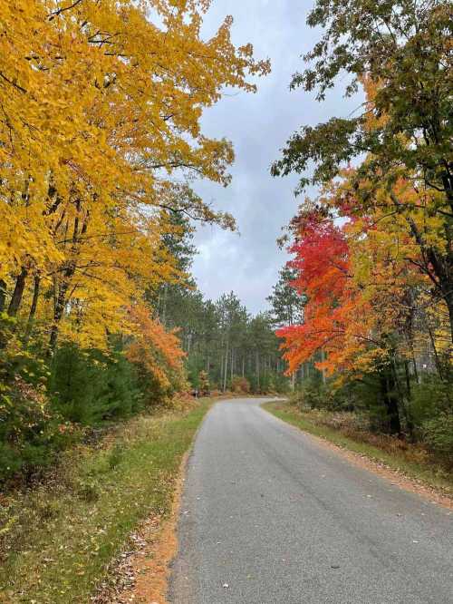 A winding road surrounded by vibrant autumn trees in shades of yellow, orange, and red under a cloudy sky.