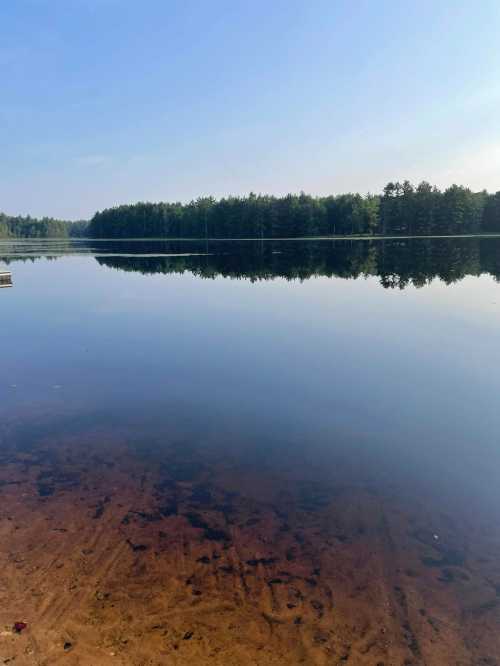 A calm lake reflecting trees and a clear blue sky, with a sandy shore visible in the foreground.