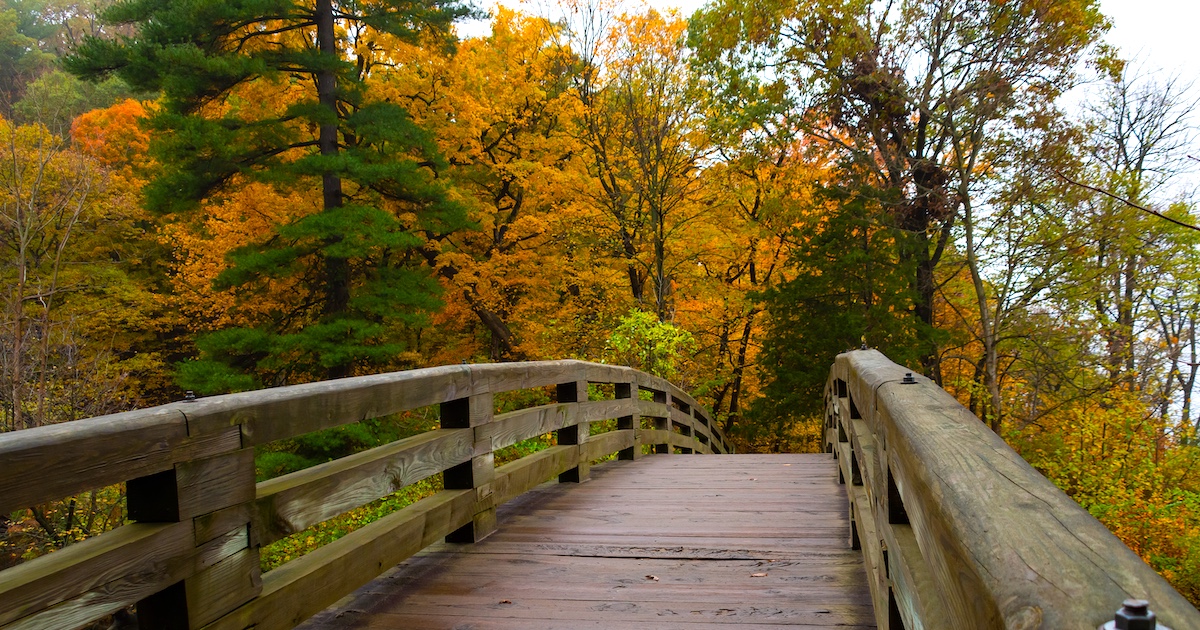This Small Town in Illinois Comes Alive in The Fall Season