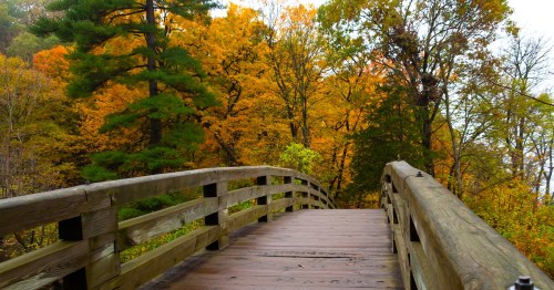 A scenic path lined with vibrant autumn leaves, leading over a calm water body under a cloudy sky.
