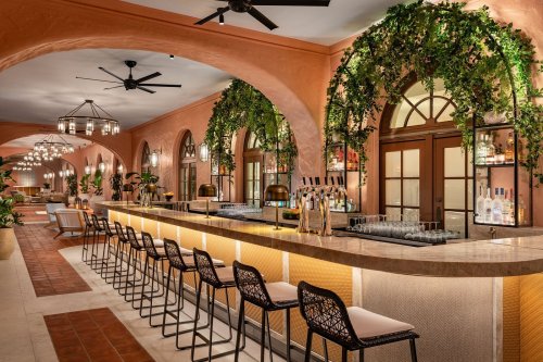 A stylish bar with a curved counter, surrounded by greenery and elegant lighting in a warm, inviting space.