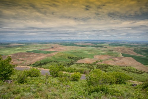 A panoramic view of rolling green and brown fields under a cloudy sky, with distant mountains on the horizon.