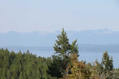 A scenic view of mountains in the distance, with a lake and lush green trees in the foreground.