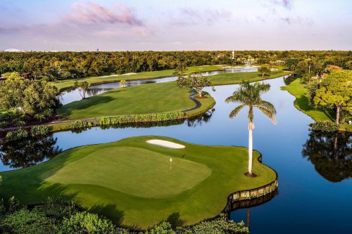 A scenic view of a golf course with lush greenery, water features, and a palm tree under a clear sky.
