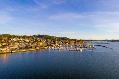 A scenic view of a marina with boats, surrounded by trees and hills under a clear blue sky.